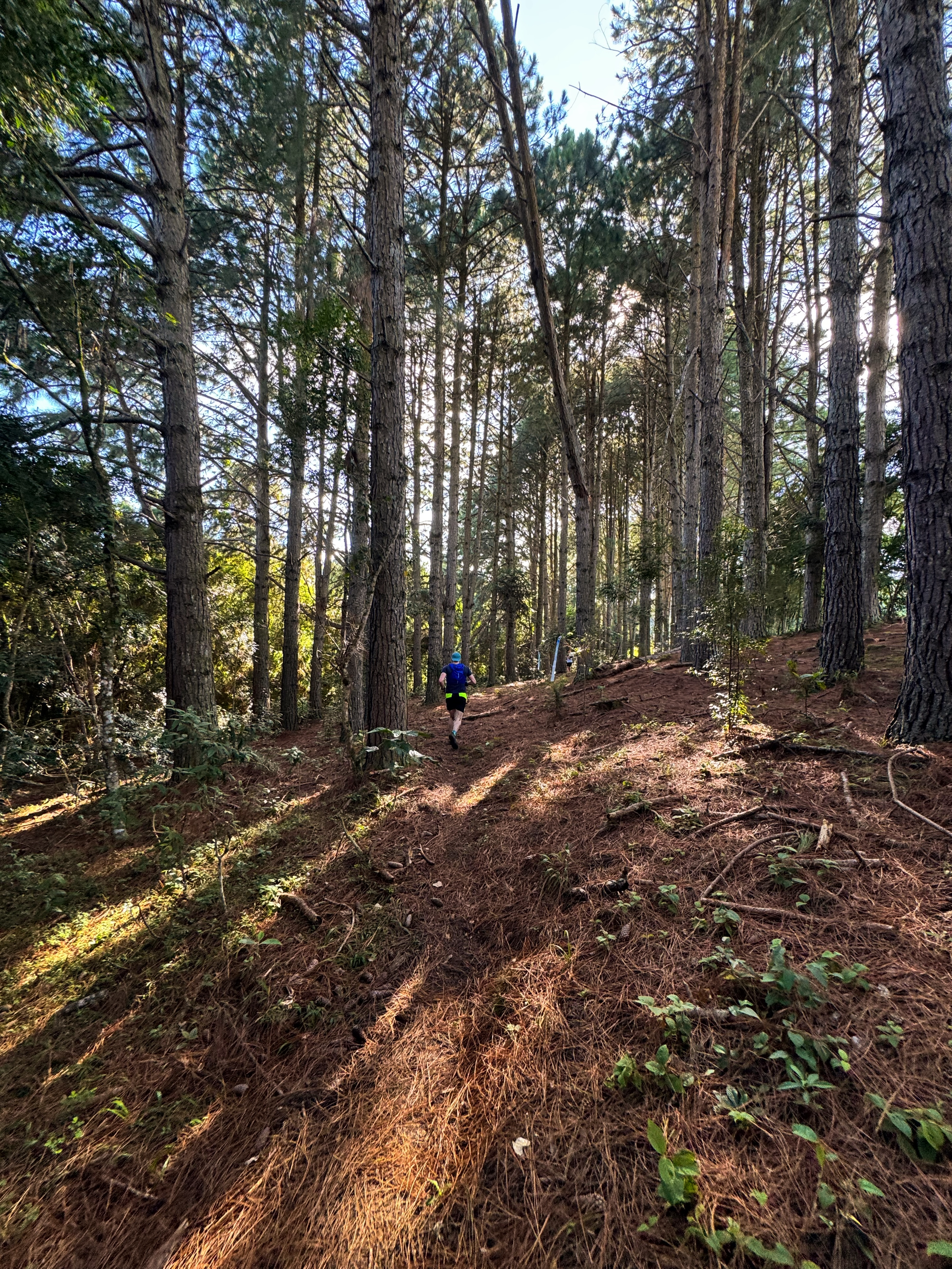 discover trail_witmarsum
